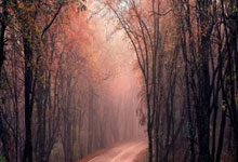 股票实战论坛:怎么才能让配资公司破产-第一代全固态电池明年推出！亿纬锂能董事长：至少十年内锂电池仍是主流